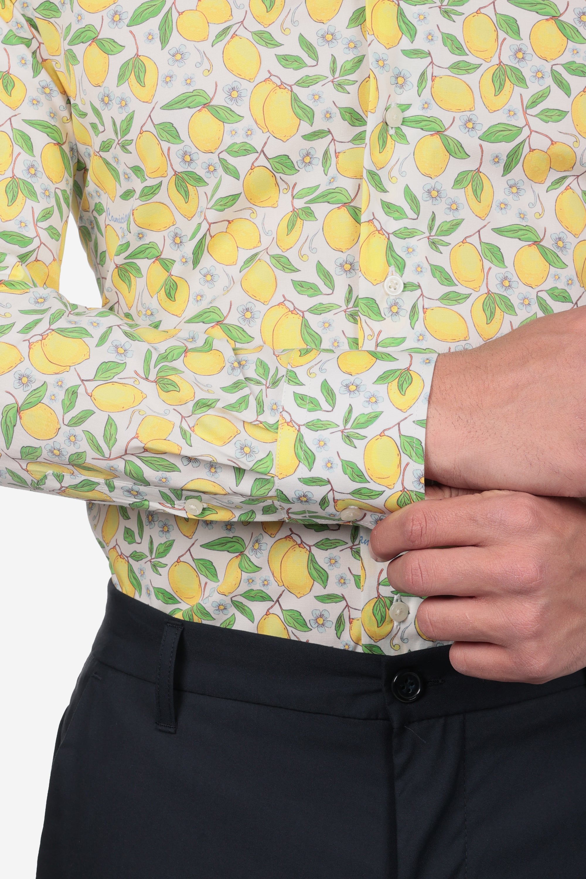 CAMICIA FANTASIA FACILE STIRO POSITANO
