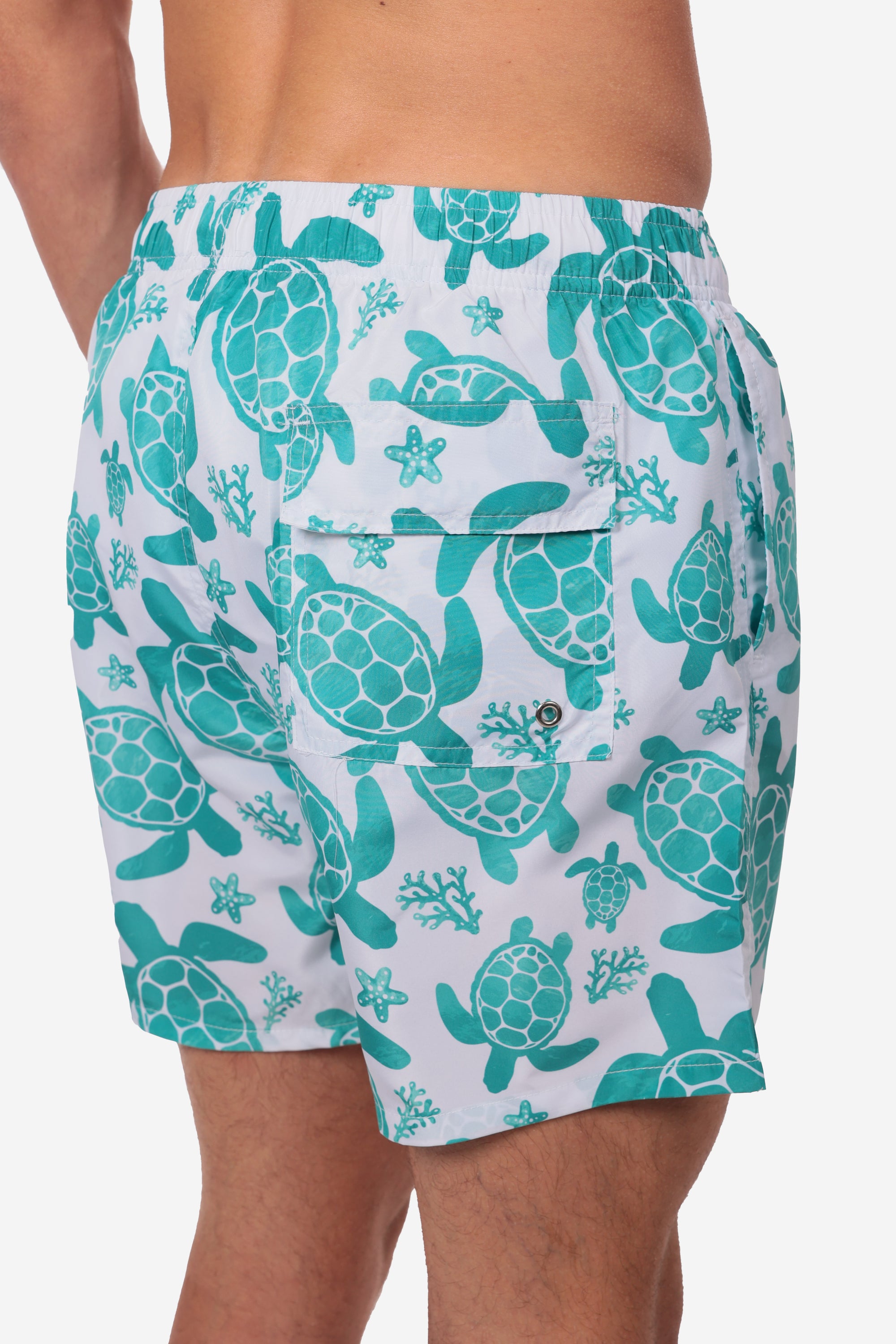 COSTUME DA BAGNO CON FANTASIA TARTARUGHE