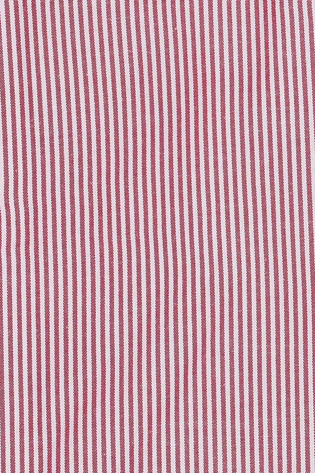 Camicia riga media in puro cotone