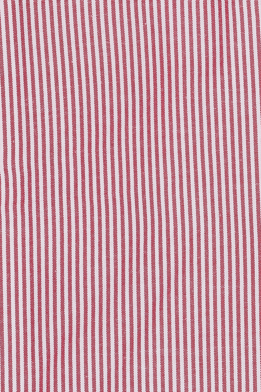 Camicia riga media in puro cotone