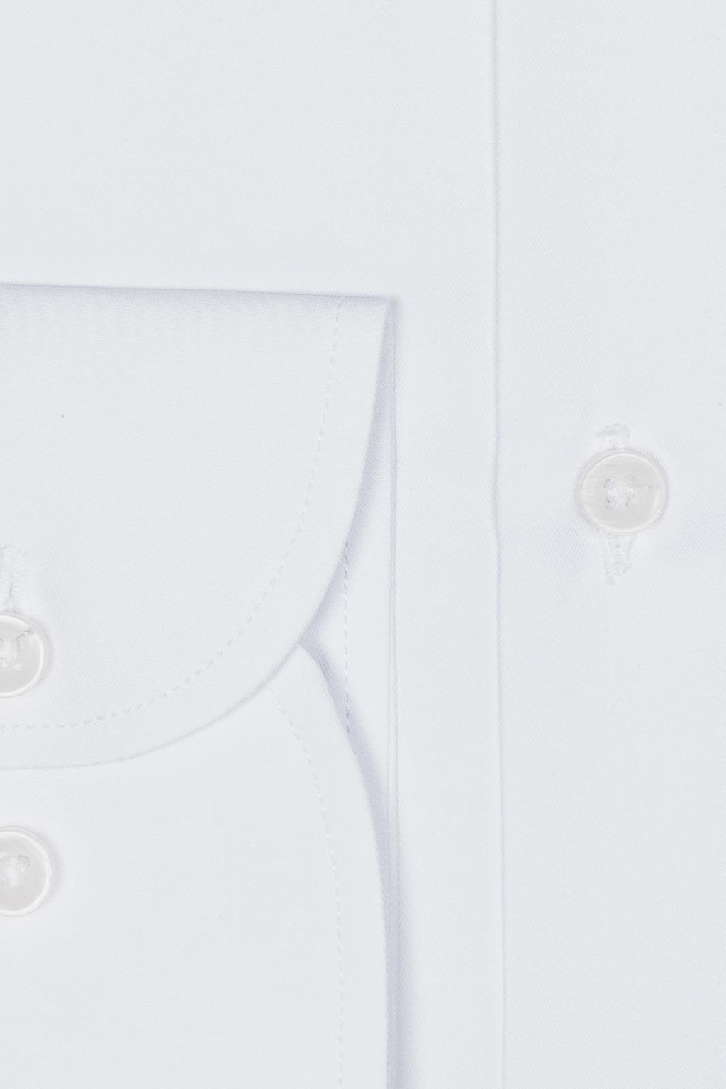 Camicia 100% cotone tinta unita