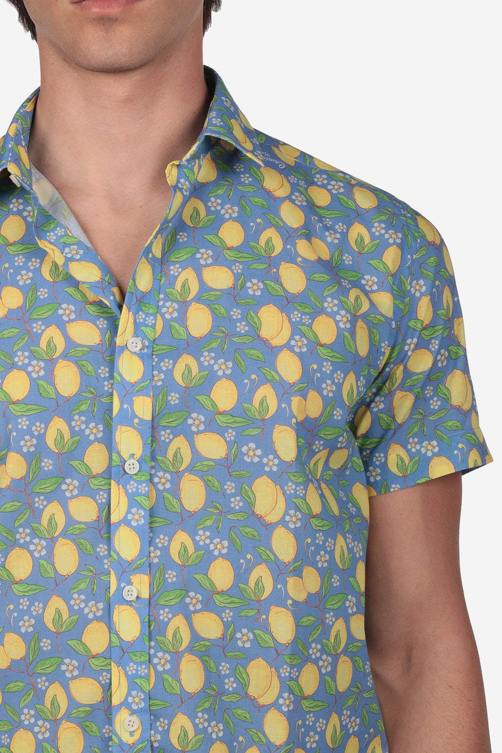 CAMICIA MEZZA MANICA A FANTASIA FACILE STIRO POSITANO