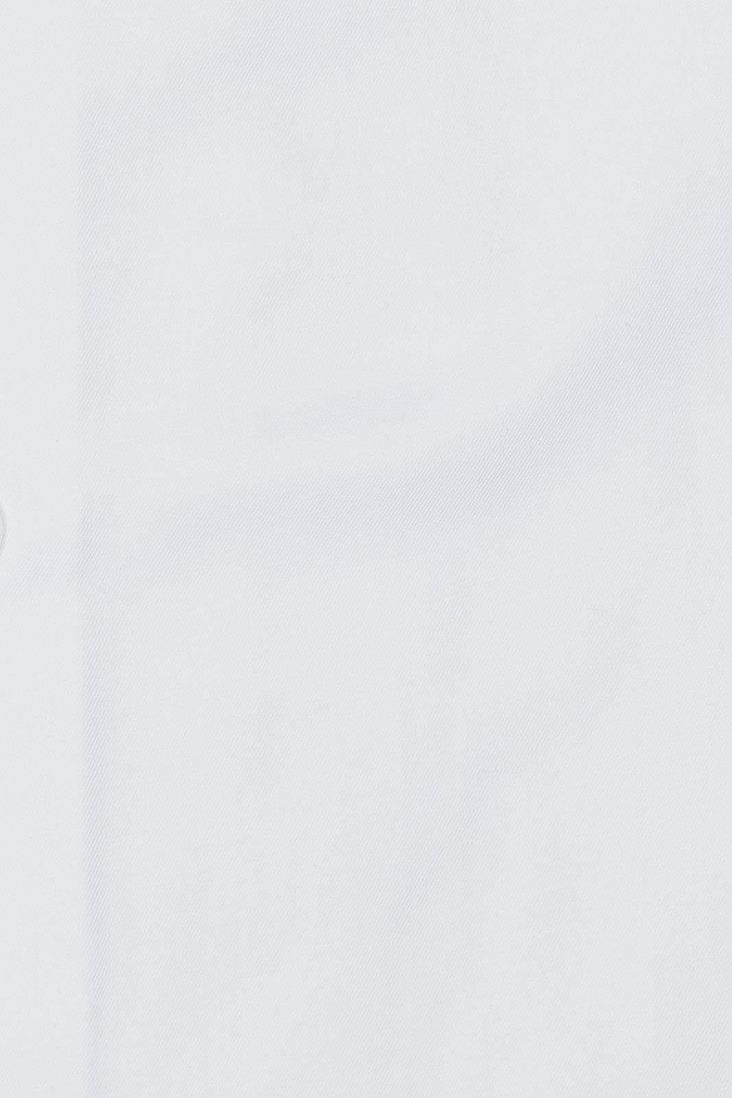 Camicia 100% cotone tinta unita