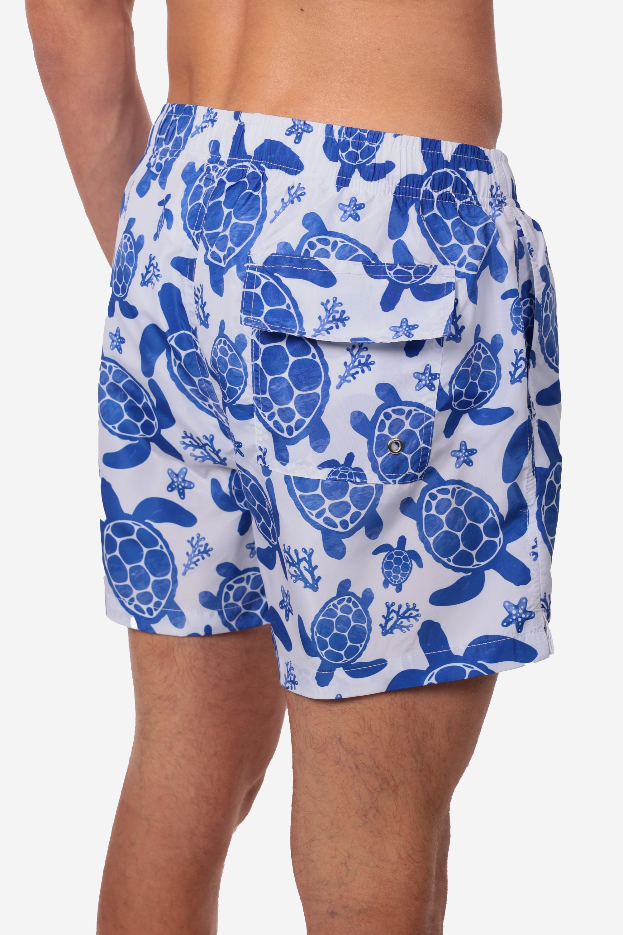 COSTUME DA BAGNO CON FANTASIA TARTARUGHE
