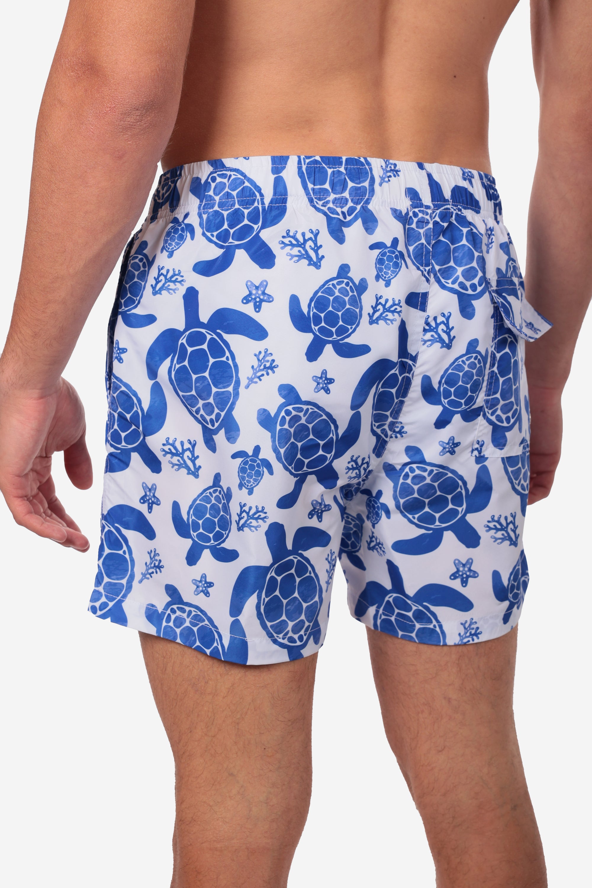 COSTUME DA BAGNO CON FANTASIA TARTARUGHE