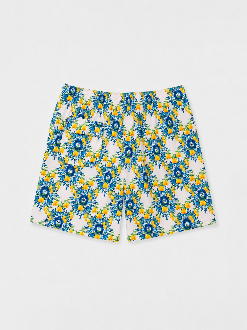Costume da Bagno Uomo Stampa Maiolica e Limoni