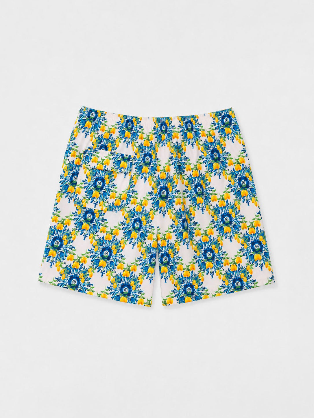 Costume da Bagno Uomo Stampa Maiolica e Limoni