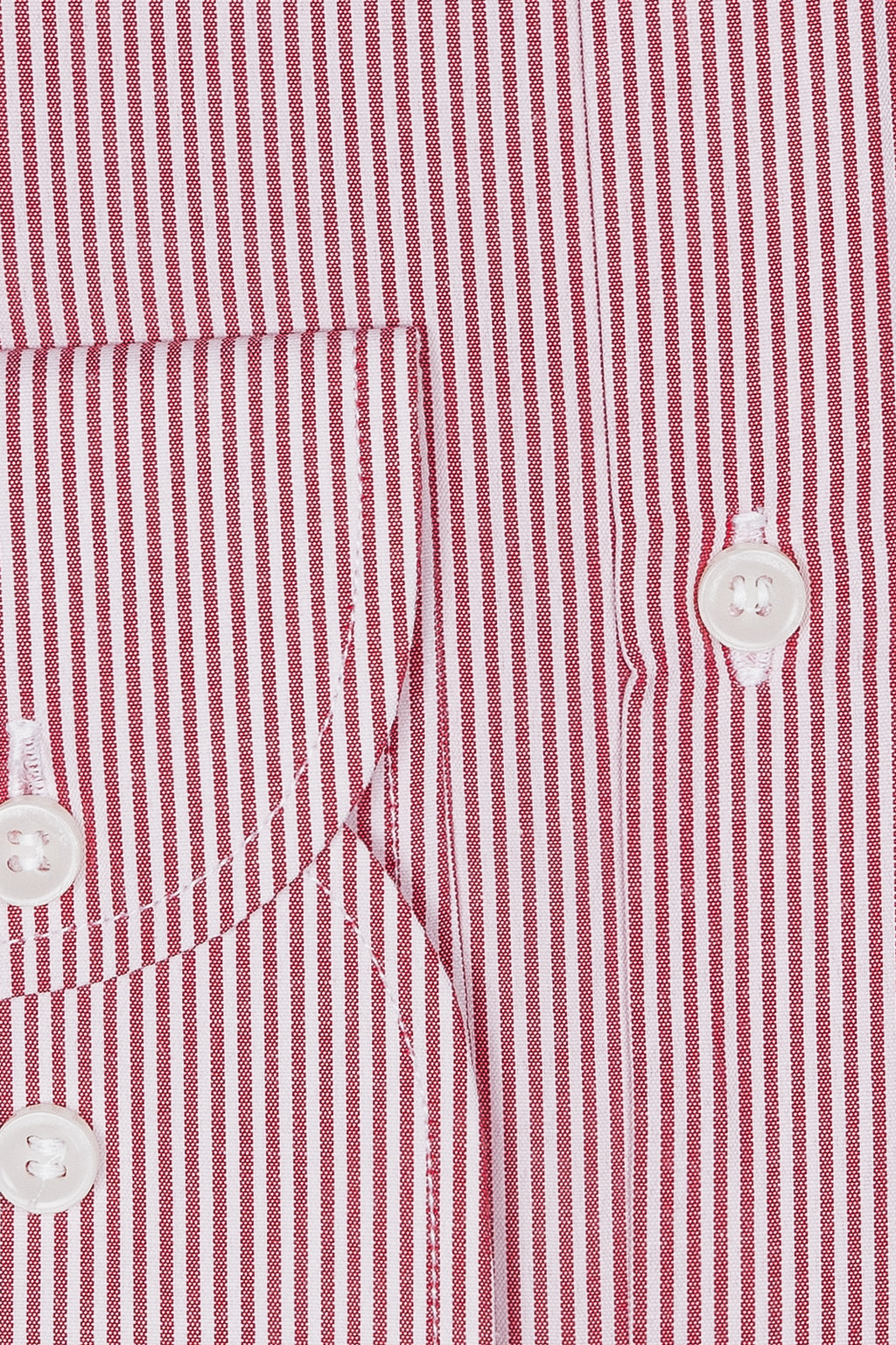Camicia riga media in puro cotone