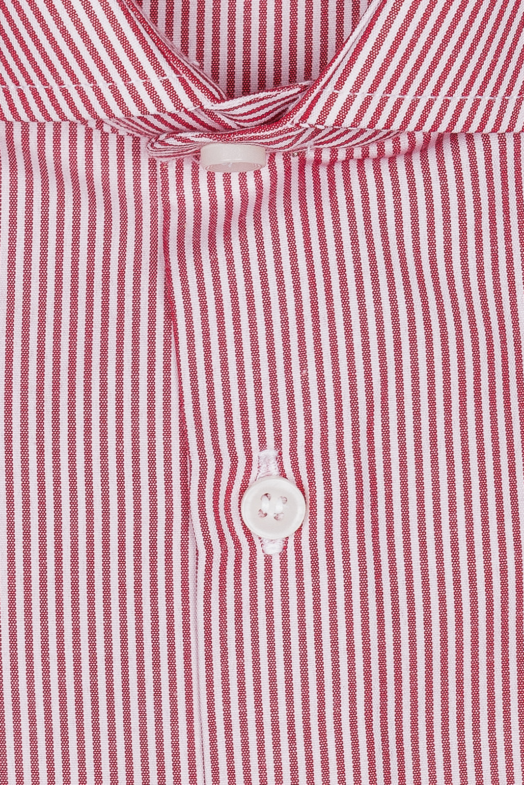 Camicia riga media in puro cotone