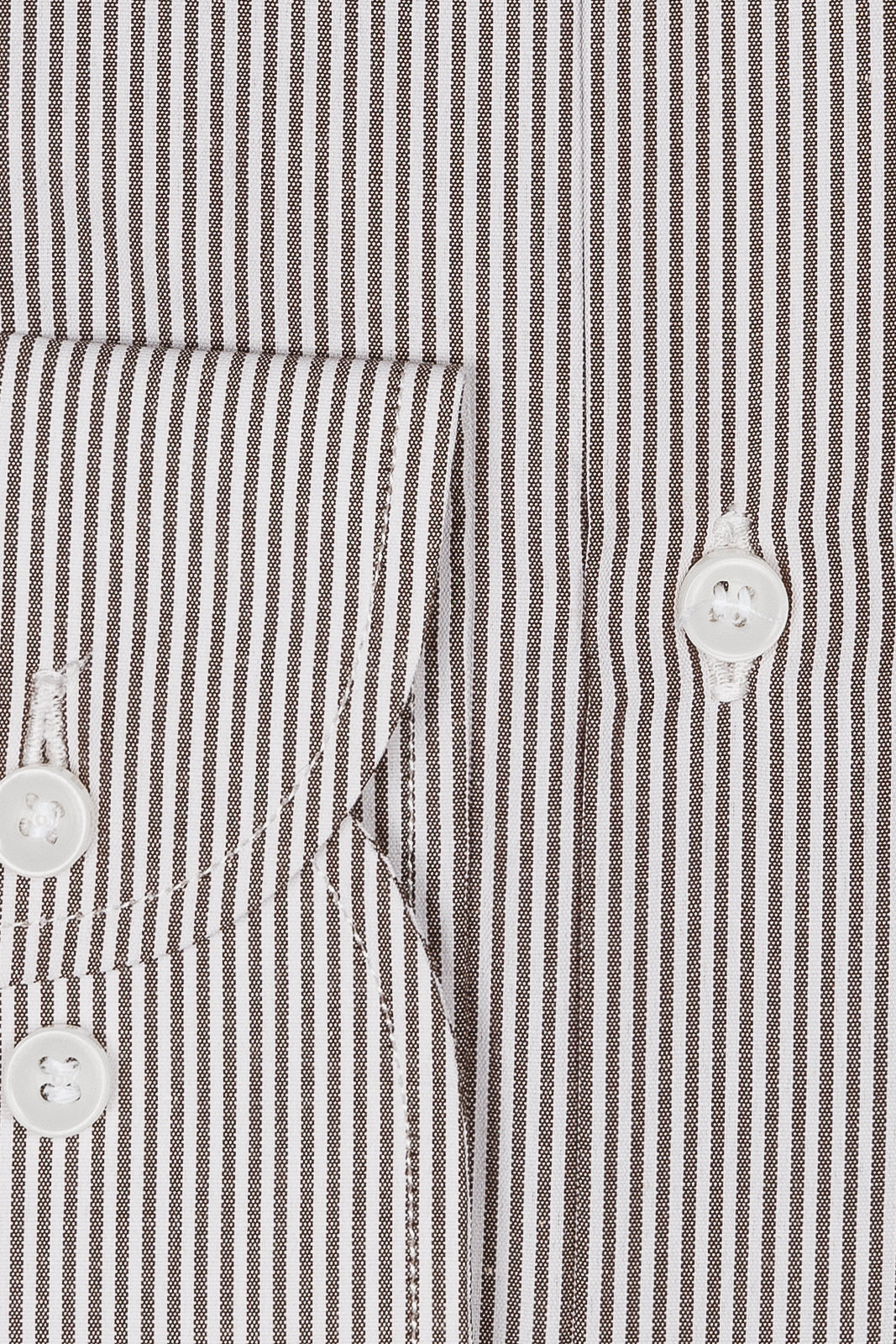 Camicia riga media in puro cotone