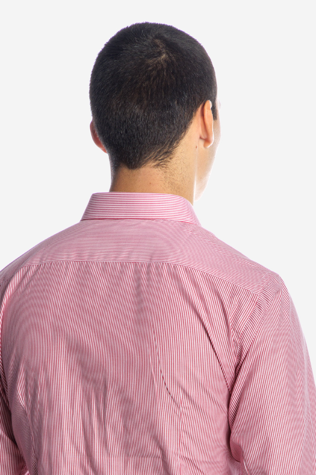 Camicia riga media in puro cotone