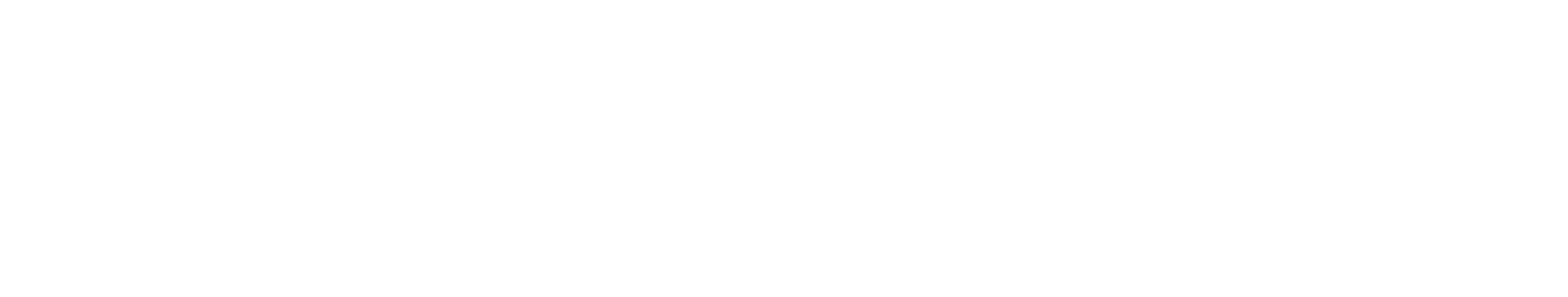 Camiciamoci