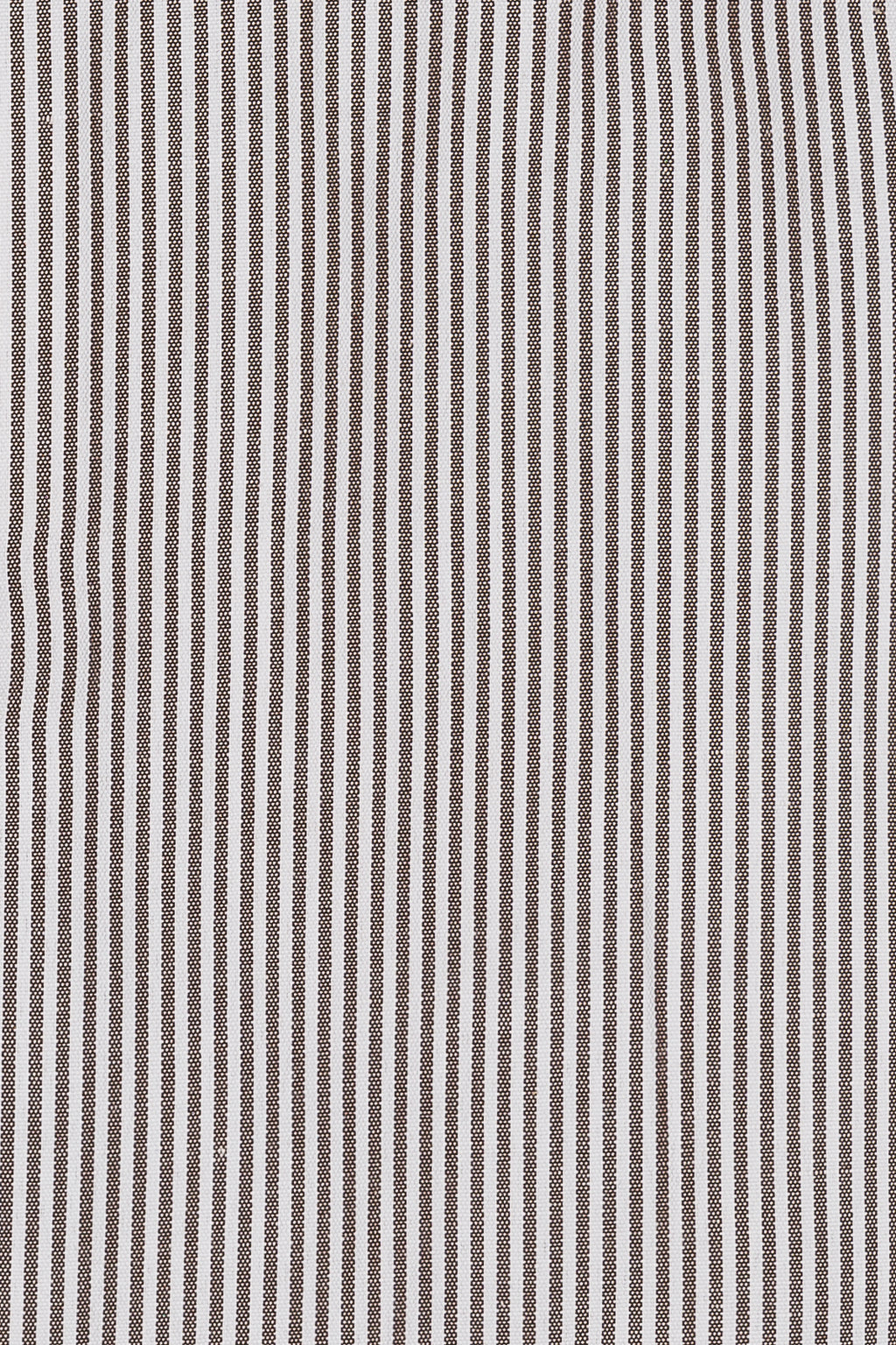Camicia riga media in puro cotone