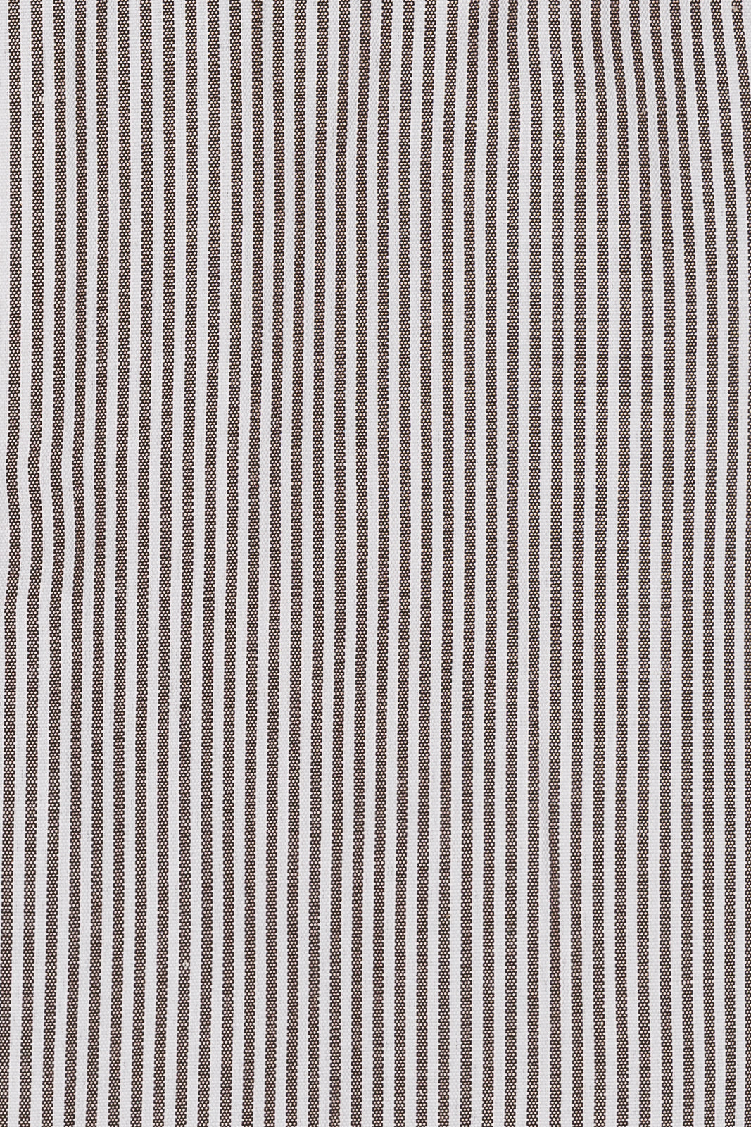 Camicia riga media in puro cotone